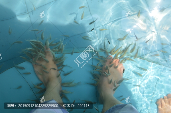 足療魚(yú)