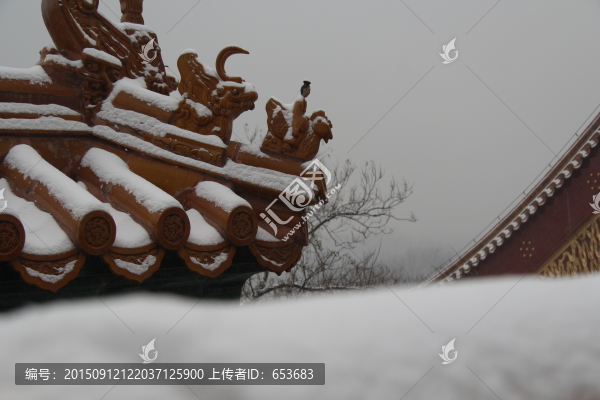頤和園雪景
