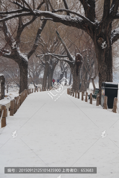 頤和園雪景