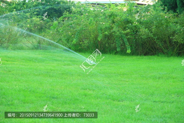 綠地,噴水