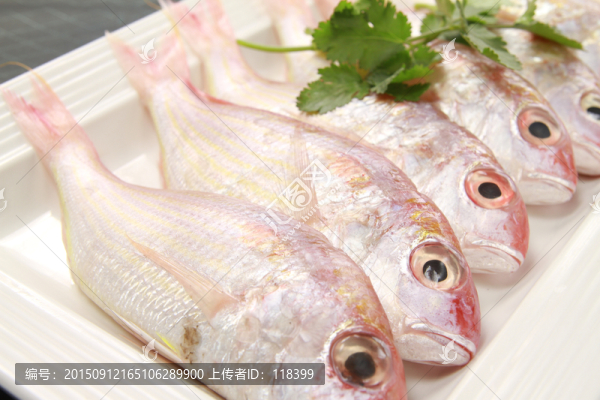 紅三魚