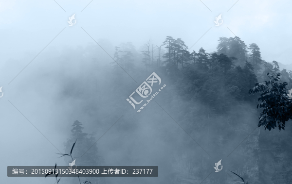 張家界,國(guó)家森林公園云海