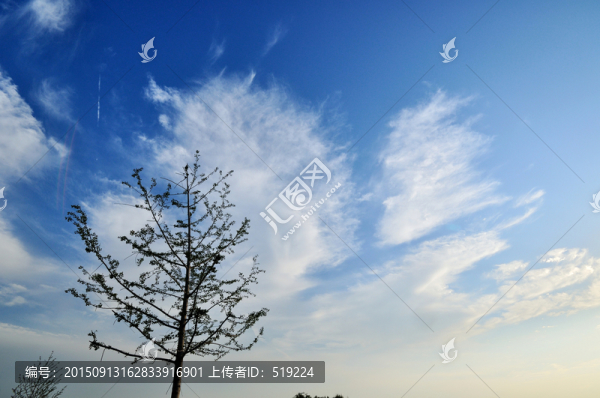藍(lán)天白云