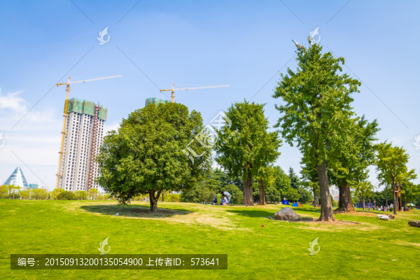 城市綠化和建設(shè)