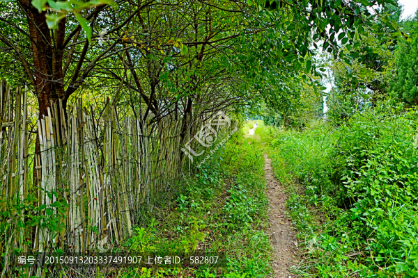 鄉(xiāng)間小路