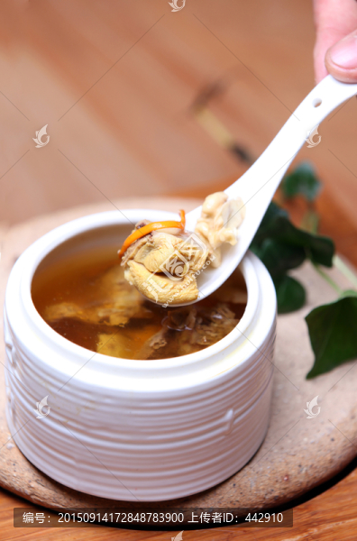 核桃燉老鴿