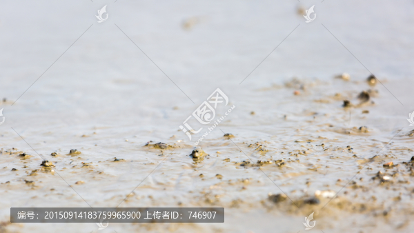 退潮后的海灘