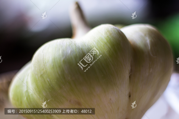 脫皮的白地瓜