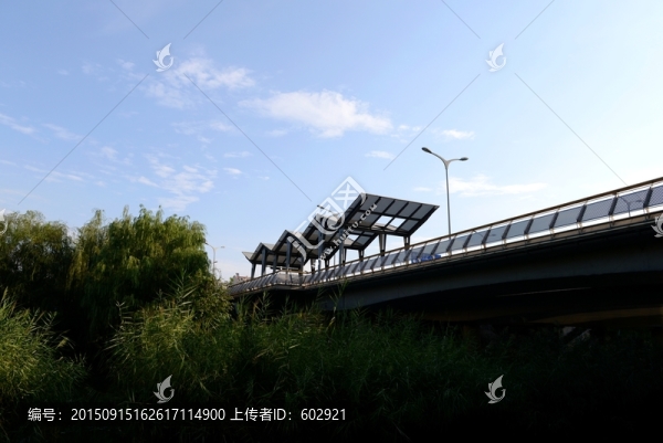 橋
