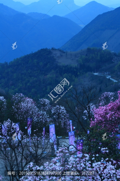山谷的春天