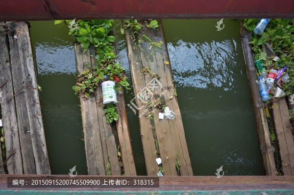 水中綠與棄