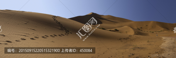 沙漠腳印