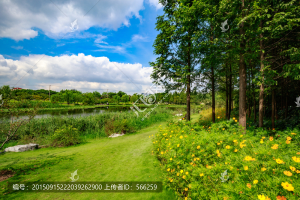濕地公園