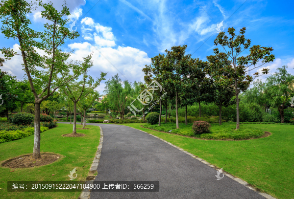 濕地公園
