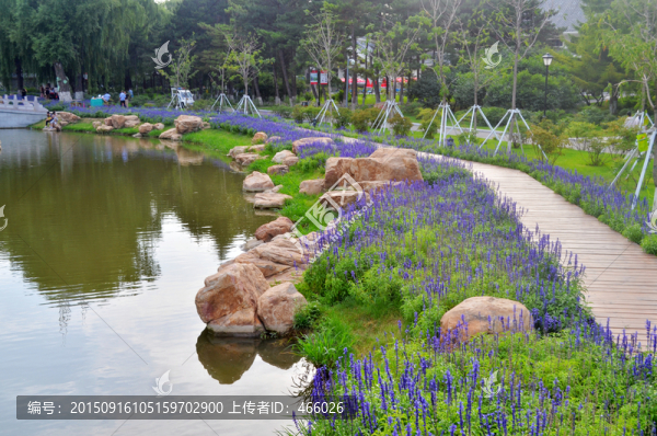 長(zhǎng)春牡丹公園