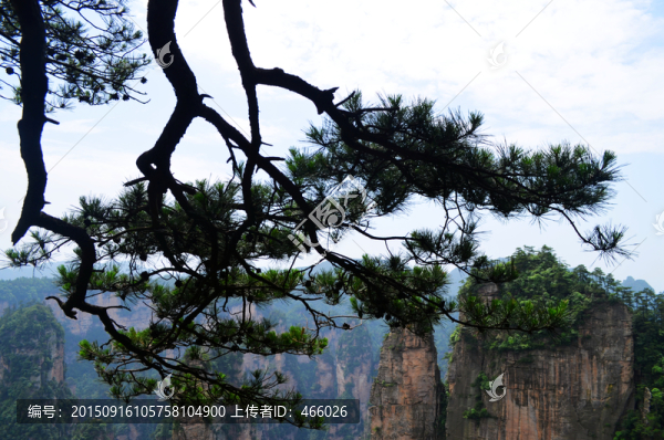 張家界風(fēng)景名勝區(qū)