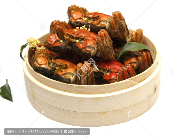 陽澄湖大閘蟹,蒸蟹