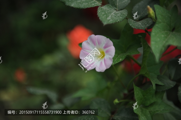 牽?；? title=