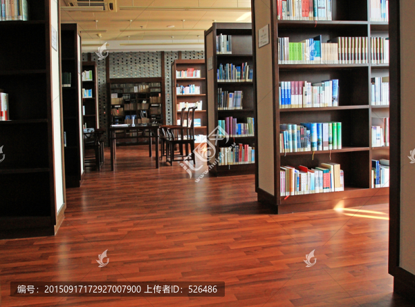 圖書館書籍