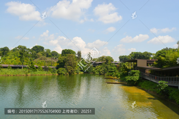 河流風(fēng)景
