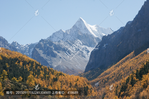 四川稻城亞丁的神山夏諾多吉