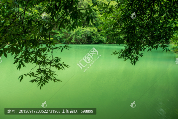 森林湖水