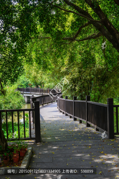 竹林棧道