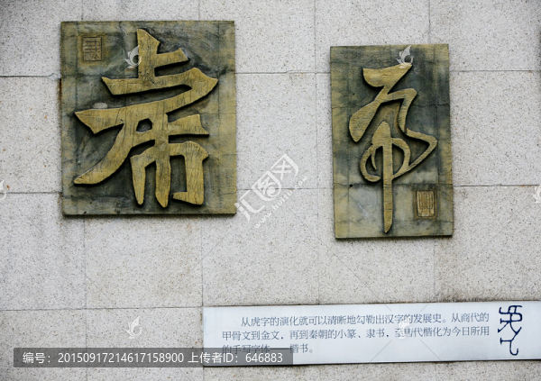 虎,象形文字,文化藝術(shù)