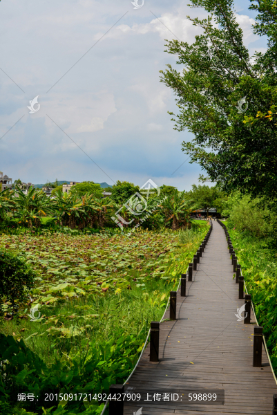 木棧道