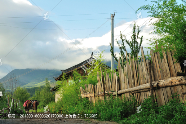 麗江風(fēng)景,馬