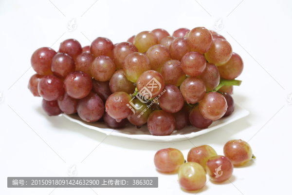葡萄