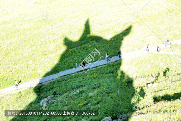 陽光,陰影