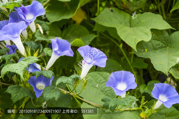 牽?；? title=