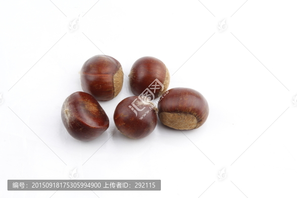 板栗