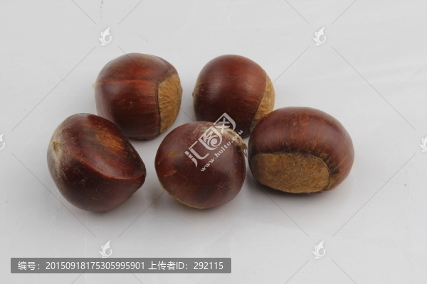 板栗