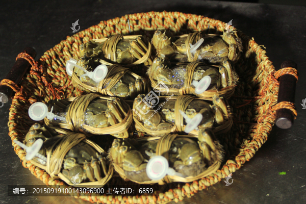 陽(yáng)澄湖大閘蟹