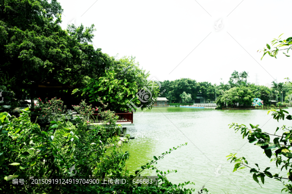 廣州荔枝灣,公園
