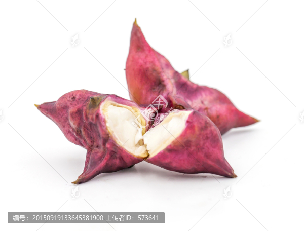 菱角