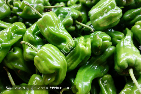 青椒