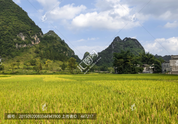 廣西靖西鵝泉風(fēng)光