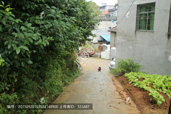 農(nóng)村小景