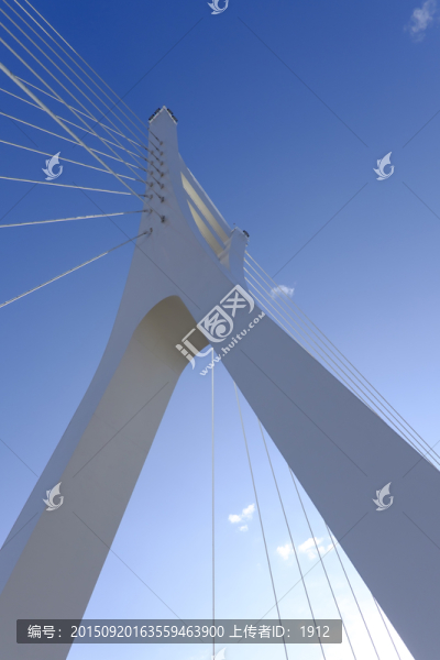 橋