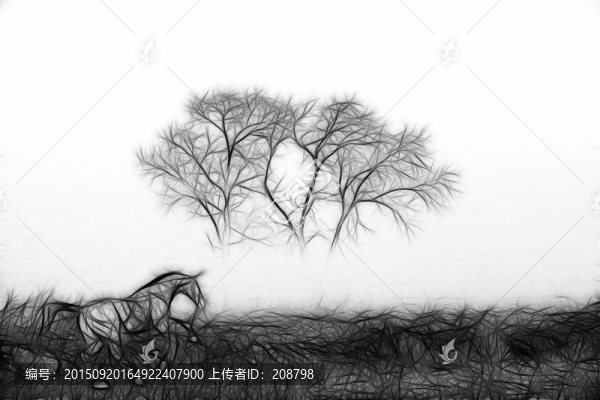 黑白裝飾畫