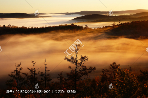 山林云海
