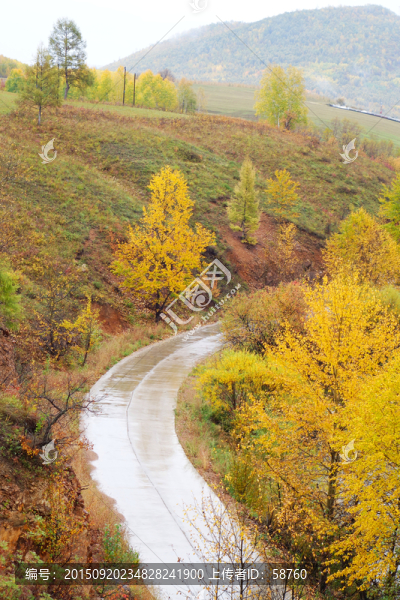 秋林山路