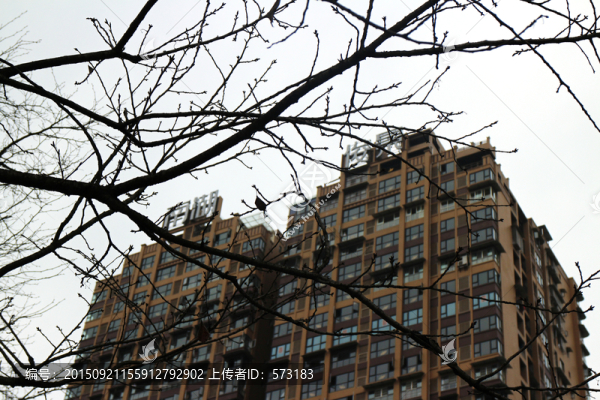 高成建筑