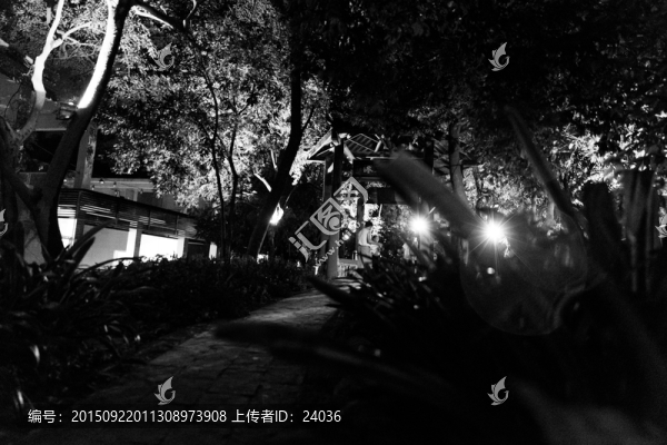 夜色茫茫,黑白