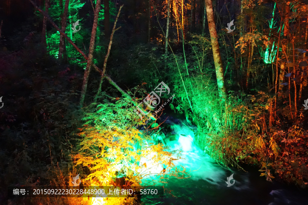 森林山溪燈光夜景
