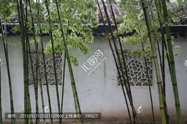 竹林