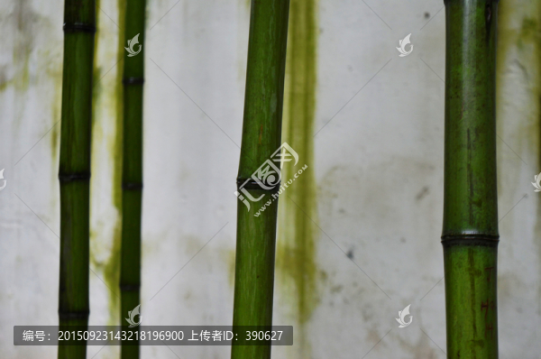 竹子和斑駁的墻壁